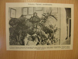 Hungary - Nemzeti Muzeum - Pulszky Ferenc  Emlékezete -  - WWI-grande Guerre 1914-18 - Print   W109 - Autres & Non Classés