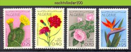 Muk038 FLORA BLOEMEN ROOS ANJER ROSE CACTUS FLOWERS SUKKULENTEN BLUMEN KAKTEEN FLEURS ALGERIE 1969 PF/MNH - Cactus