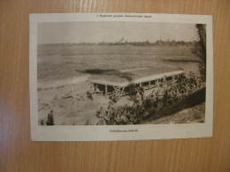 Ukraine Moldova - Dniester - Backside SIwka -Cows - Bridge  - WWI-grande Guerre 1914-18 - Print   W125 - Autres & Non Classés