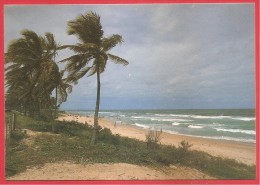 CARTOLINA NV BRASILE - SALVADOR - Flamengo Beach - Spiaggia - 10 X 15 - Salvador De Bahia