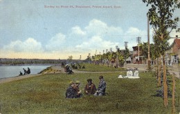Vintage Postcard - PRINCE ALBERT, Saskatchewan - RIVER STREET BOULEVARD - Sonstige