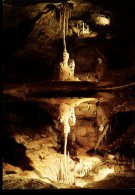 CP (46) : Les GROTTES De LACAVE " La Colonne Aux Pattes D'araignées " - Lacave