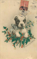 Animaux - Chiens - Chien - Dogs - Dog - Indiqué Devant Peintre R.Edmery - Carte écrite Par Lui Même - état - Chiens