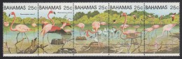 Bahamas MNH Scott #509 Strip Of 5 25c Pink Flamingoes - Flamingo's