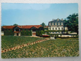 CP 33 Gironde PAUILLAC   - Château Pontet Canet  -   Domaine Viticole Vignoble - Oenologie -  Les Vignes 1975 - Pauillac