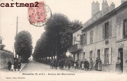 MOISSELLES AVENUE DES MARRONNIERS TRES ANIMEE 95 - Moisselles