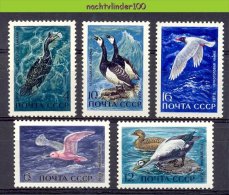 Nbm0051 FAUNA VOGELS GANS EEND AALSCHOLVER GULL DUCK GEESE CORMORANT BIRDS VÖGEL AVES OISEAUX QWRS 1972 PF/MNH # - Collections, Lots & Series