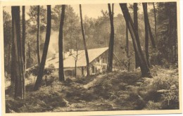 Delcampe - CPA Hossegor Villa Dans La Foret En Bordure Du Lac - Hossegor