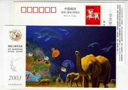 Planet,elephant,Giraffe,r Hinoceros,marine World Whale,dolphin,coral Reef Fish,CN 03 Luoyang New Year Pre-stamped Card - Baleines
