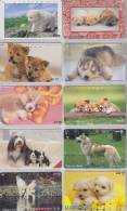 Lot De 10 Télécartes Japon NTT - ANIMAL - CHIEN Chiens - DOG Dogs Japan Phonecards - HUND Hunde Telefonkarten - 1152 - Lots - Collections