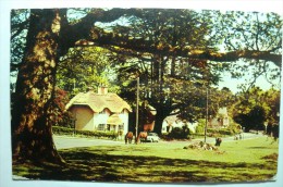 New Forest - Hampshire - Swan Green , Lyndhurst, In The Forest - Portsmouth