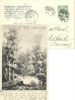 AK  Hirsch Im Waldweiher  (Ambulant GLAND)           1905 - Bahnwesen