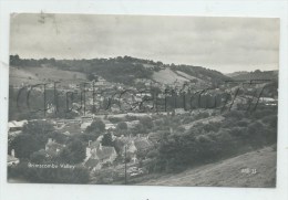 Brimscombe (Royaume-Uni, Gloucestershire) : View General In 1967  PF. - Altri & Non Classificati