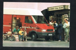 CAMION IVECO TURBO DAILY FULL SIZE VAN CAR DOG GRAND DANOIS BIKE ADV. POSTCARD ( 2 SCANS ) - Camions & Poids Lourds