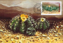 Romania-Maxicard,maximum Postcard - Flowers, Cactusses, Ferocactus Glaucescens - Sukkulenten