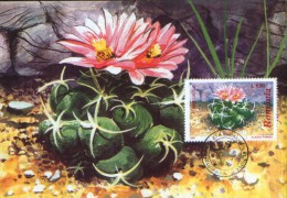 Romania-Maxicard,maximum Postcard - Flowers, Cactusses,  Thelocactus - Cactus