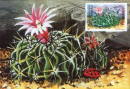 Romania- Maxicard ,Maximum Postcard -  Flowers, Cactusses, Echinofossulocactus Lamellosus - Sukkulenten