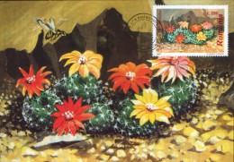 Romania- Maxicard ,Maximum Postcard - Flowers,cactusses, Rebutia - Cactus