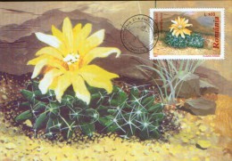 Romania- Maxicard ,Maximum Postcard - Flowers,cactusses,  Dollichothele Uberiformis - Cactus