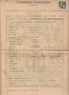 GYMNASIUM DIPLOMA, ROMAN CATHOLIC SCHOOL, REVENUE STAMP, 1915, HUNGARY - Diplômes & Bulletins Scolaires