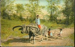 Rural Transportation P I - Philippinen