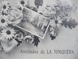 CPA Amistades De  La Junquera.Multivue - Other & Unclassified