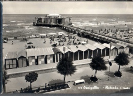 1955 SENIGALLIA ROTONDA A MARE FG V SEE 2 SCANS - Senigallia