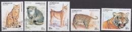 Azerbaidjan - Azerbaijan - Azerbaycan 1994 Yvert 187-91, Fauna, Big Cats - MNH - Azerbeidzjan