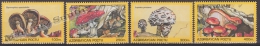 Azerbaidjan - Azerbaijan - Azerbaycan 1996 Yvert 252-55, Mushrooms - MNH - Azerbeidzjan