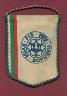 W7  / SPORT - Skiing Ski Sci Skifahren Skien FIS CUP " BOROVETS " - 8.5  X 11 Cm. Wimpel Fanion Flag Bulgaria Bulgarie - Winter Sports