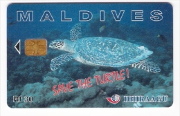 Maldiven - Maldives - Dhiraagu - Save The Turtle - Schildkröte - 256MLDG - Maldives