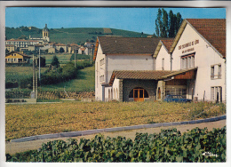 LETRA 69 - La Cave Coopérative ( Vins Du Beaujolais ) - CPSM GF - Rhône - Other Municipalities