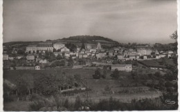 BELMONT  VUE GENERALE - Belmont De La Loire