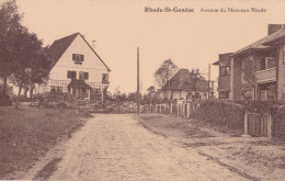 RHODE-SAINT-GENESE / SINT-GENESIUS-RODE : Avenue Du Nouveau Monde - St-Genesius-Rode