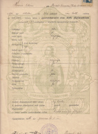 GYMNASIUM DIPLOMA, 2ND GRADE, 30 FILLER STAMP, WATERMARKED PAPER, 1916, HUNGARY - Diplome Und Schulzeugnisse