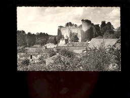 GENCAY Vienne 86 : Ruines Du Château Féodal - Gencay