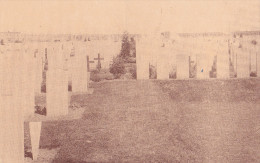 PANSSENDALE / PASSCHENDAELE : Engelsch Kerkhof " Tyne Cot MCY" - Zonnebeke