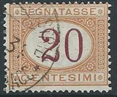 1890-94 REGNO USATO SEGNATASSE 20 CENT - ED433 - Strafport