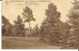 Nederbrakel -- Eaux  Minérales  Topbronnen. - Un  Coin  Du  Parc  (2 Scans) - Brakel