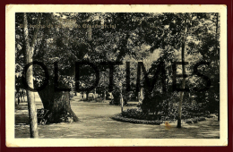 VIDAGO - PALACE HOTEL - UM TRECHO DO PARQUE DO GRANDE HOTEL - 1905 PC - Vila Real