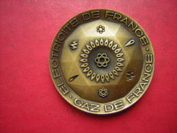 MEDAILLE BRONZE   20  ANNEES DE SERVICE  ELECTRICITE DE FRANCE  GAZ DE FRANCE - Profesionales / De Sociedad