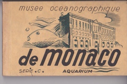 Aui Plus Rapide Monaco Musée Océanographique Série C  Carnet Complet 20 CPA - Musée Océanographique