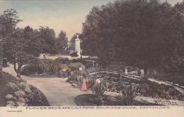Ohio Dayton Flower Beds And Lily Pond Soldiers Home Handcolored Albertype - Dayton