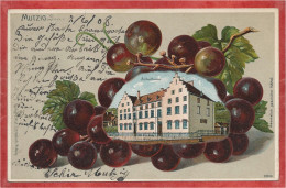 67 - MUTZIG - Carte Fantaisie Gaufrée - Raisin - Schulhaus - Mutzig