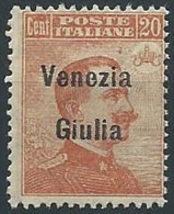 1918-19 VENEZIA GIULIA EFFIGIE 20 CENT MNH ** - ED522-3 - Vénétie Julienne