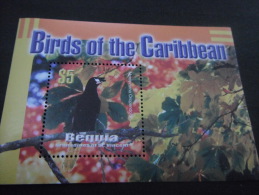 Mustique Grenadines Of St.Vincent -Birds - Picchio & Uccelli Scalatori