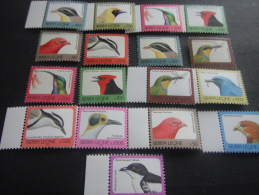 Sierra Leone -Birds - Piciformes (pájaros Carpinteros)