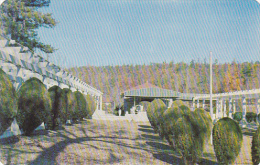 Arkansas Hot Springs Mountain Valley Mineral Water Spring - Hot Springs