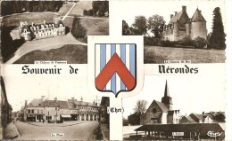 Cpsm Nerondes Souvenir - Nérondes