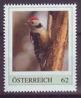 055: Tiere Im Wald, Mittelspecht (Dendrocopos Medius)- Personalisierte Marke ** Aus Österreich - Spechten En Klimvogels